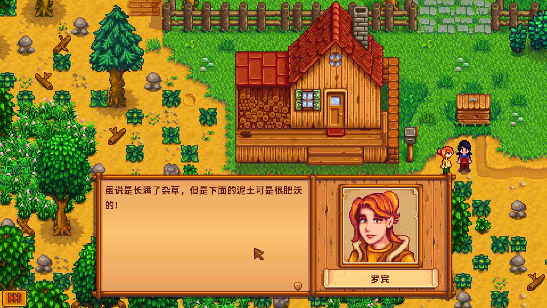星露谷物语/Stardew Valley/支持网络联机_4