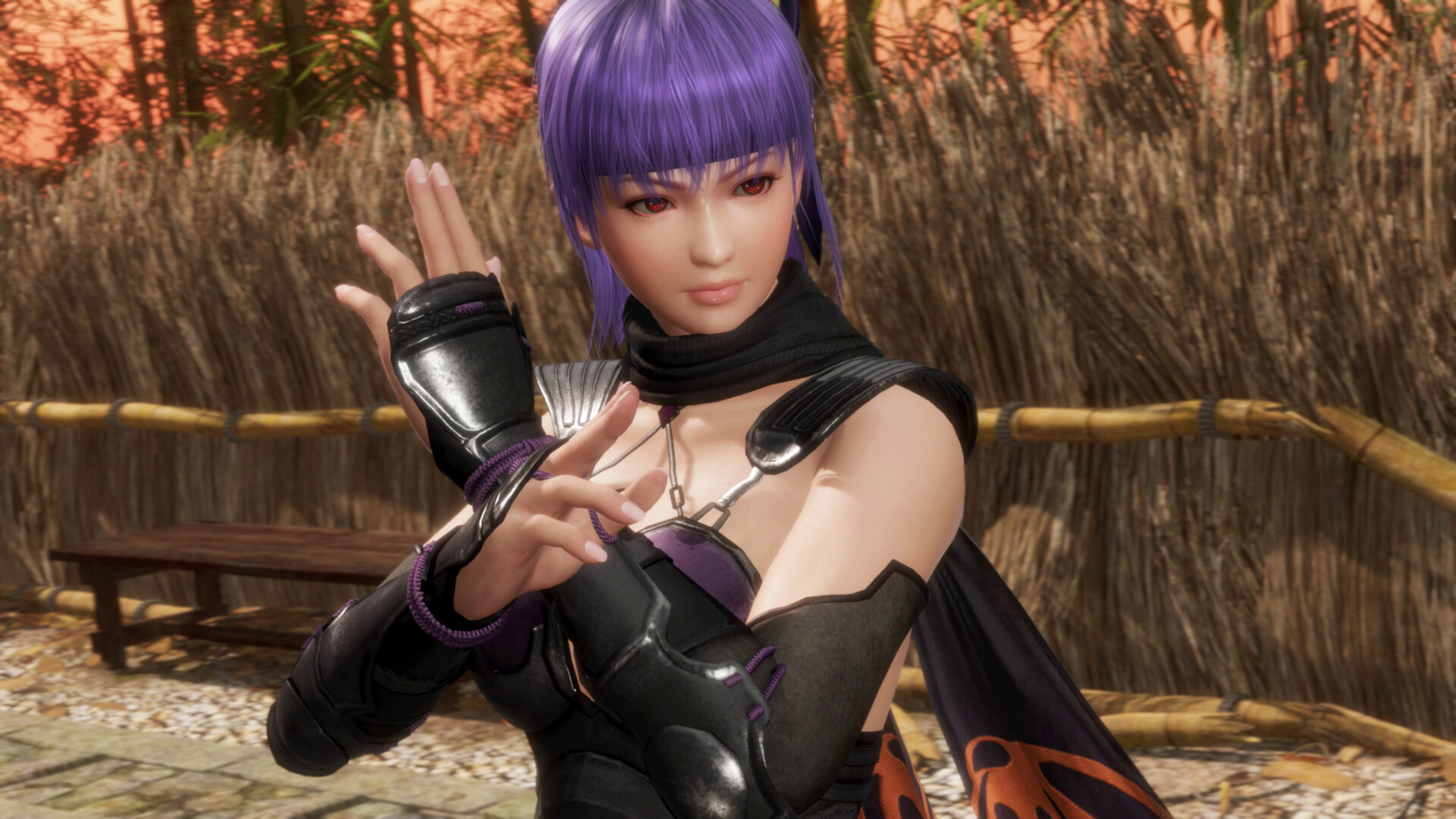 死或生6:最后一战/DEAD OR ALIVE 6 Last Round_2