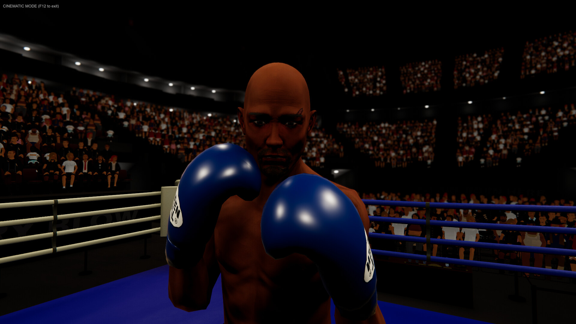 拳台王者:拳击大亨/Corner King: Boxing Tycoon_4