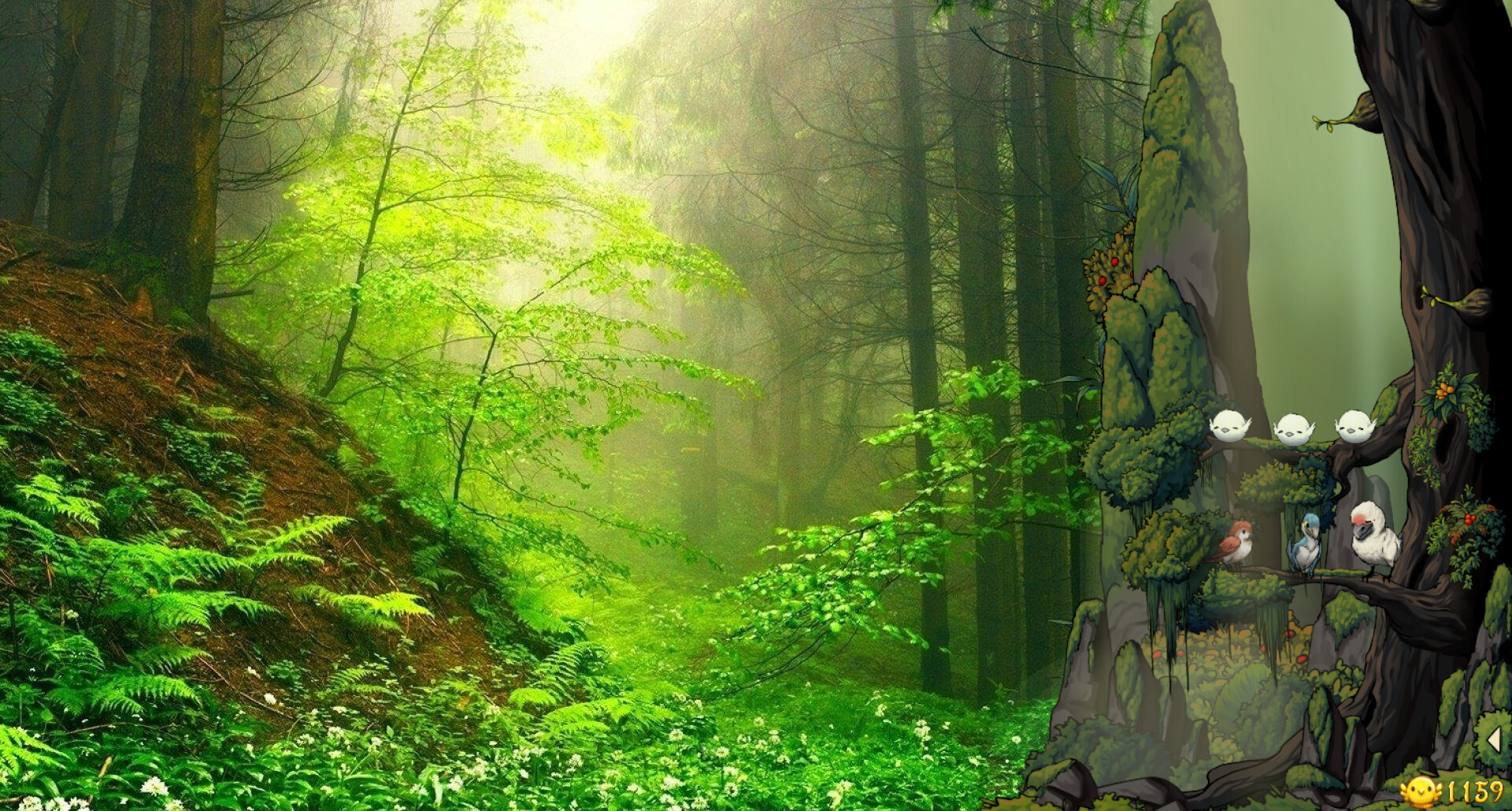 幻鸟之森/Fantasy Bird Woods_0