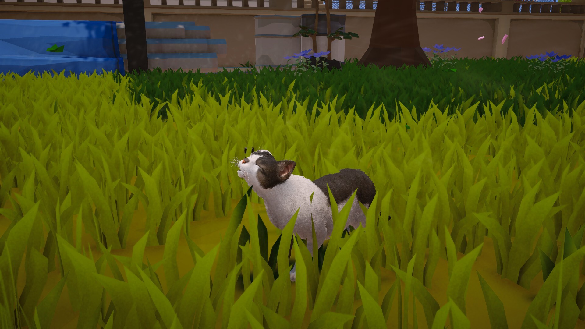 喵米:都市猫咪大乱/MEOWMI: City Cat Chaos_5