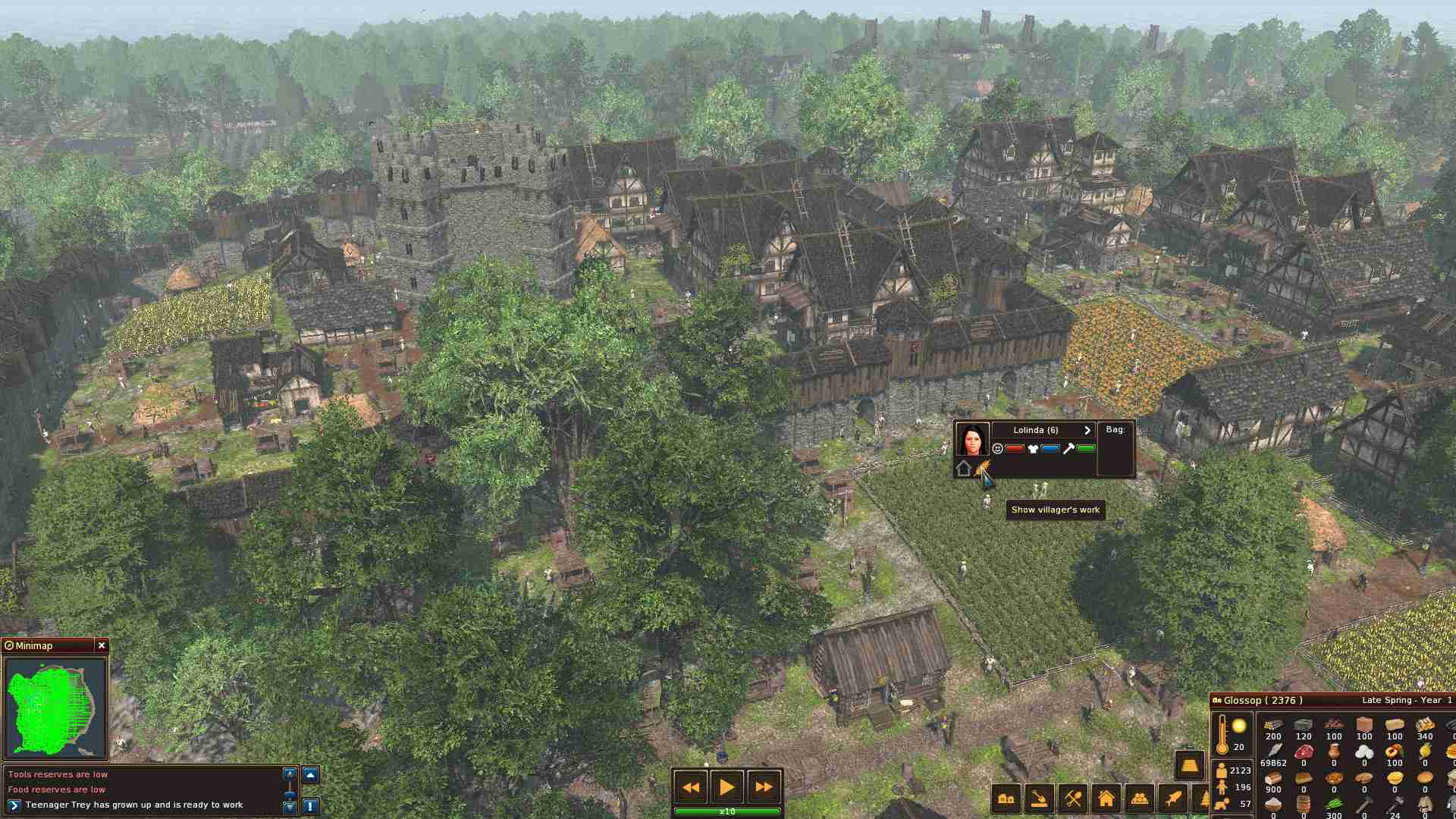 领地人生:林中村落/封建时代:林中村落/Life is Feudal: Forest Village_1