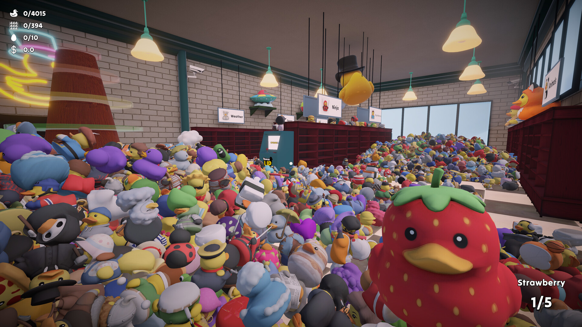分拣橡皮鸭/Sort Them Ducks_0