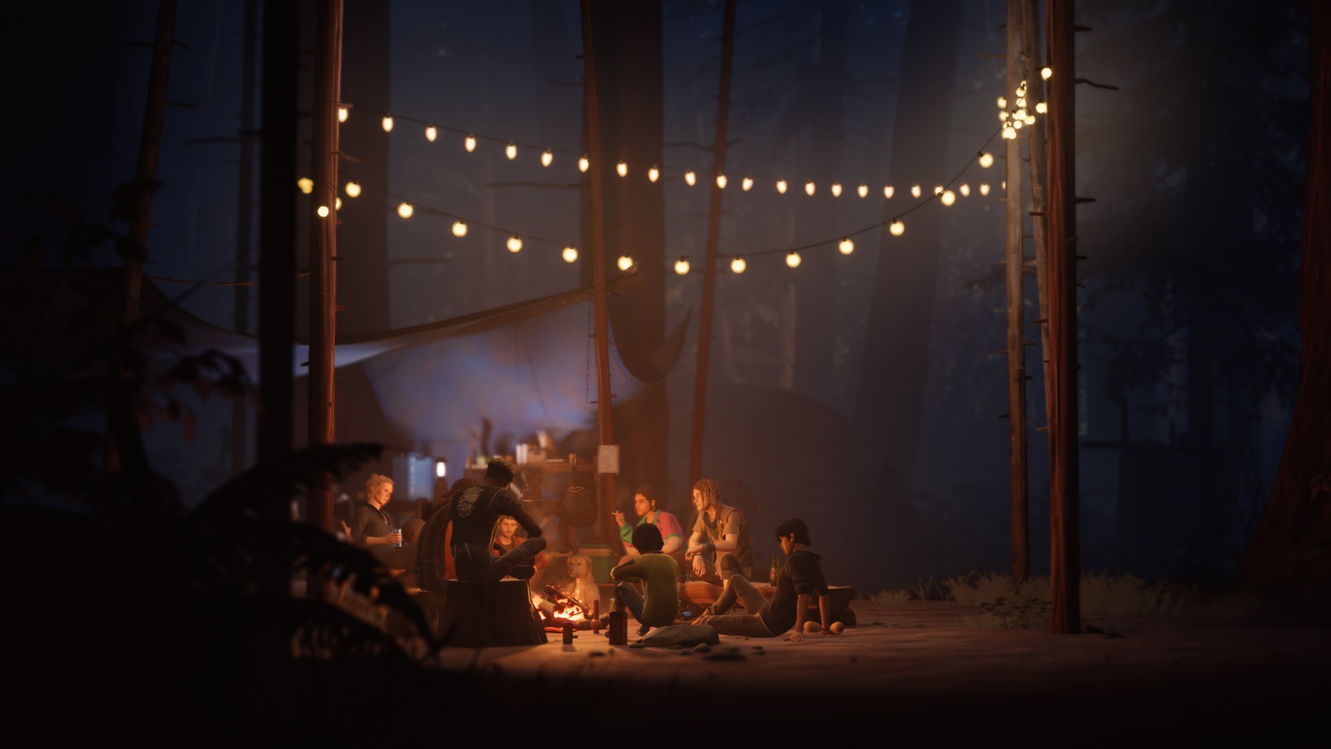 奇异人生2/Life is Strange 2_1
