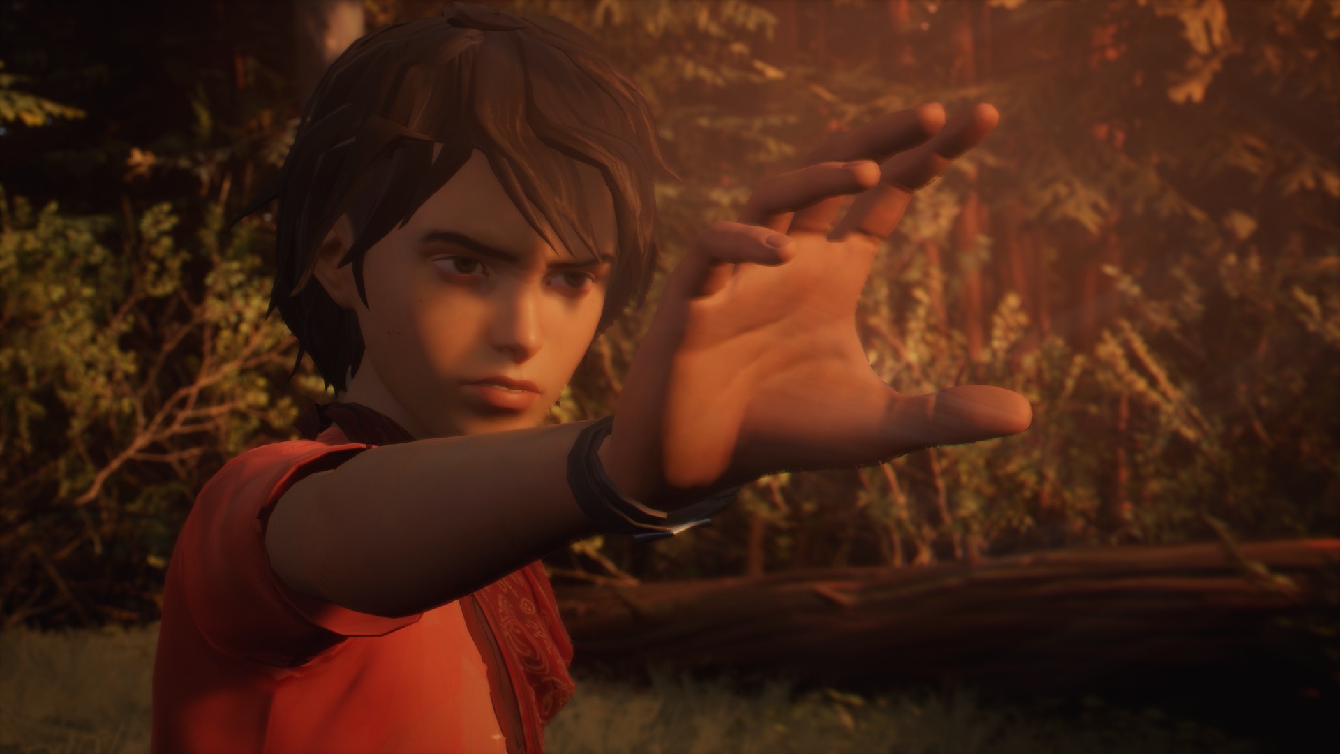 奇异人生2/Life is Strange 2_0