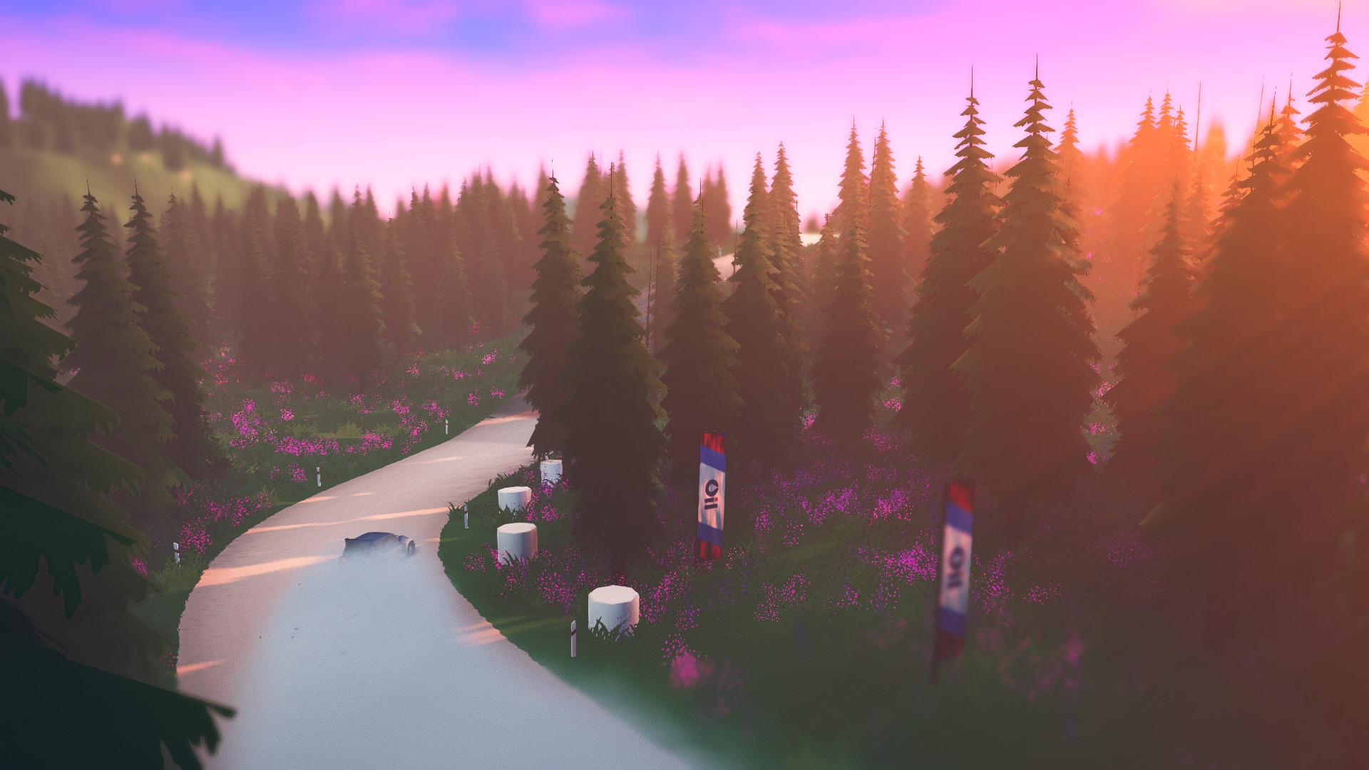 拉力赛艺术/art of rally_3