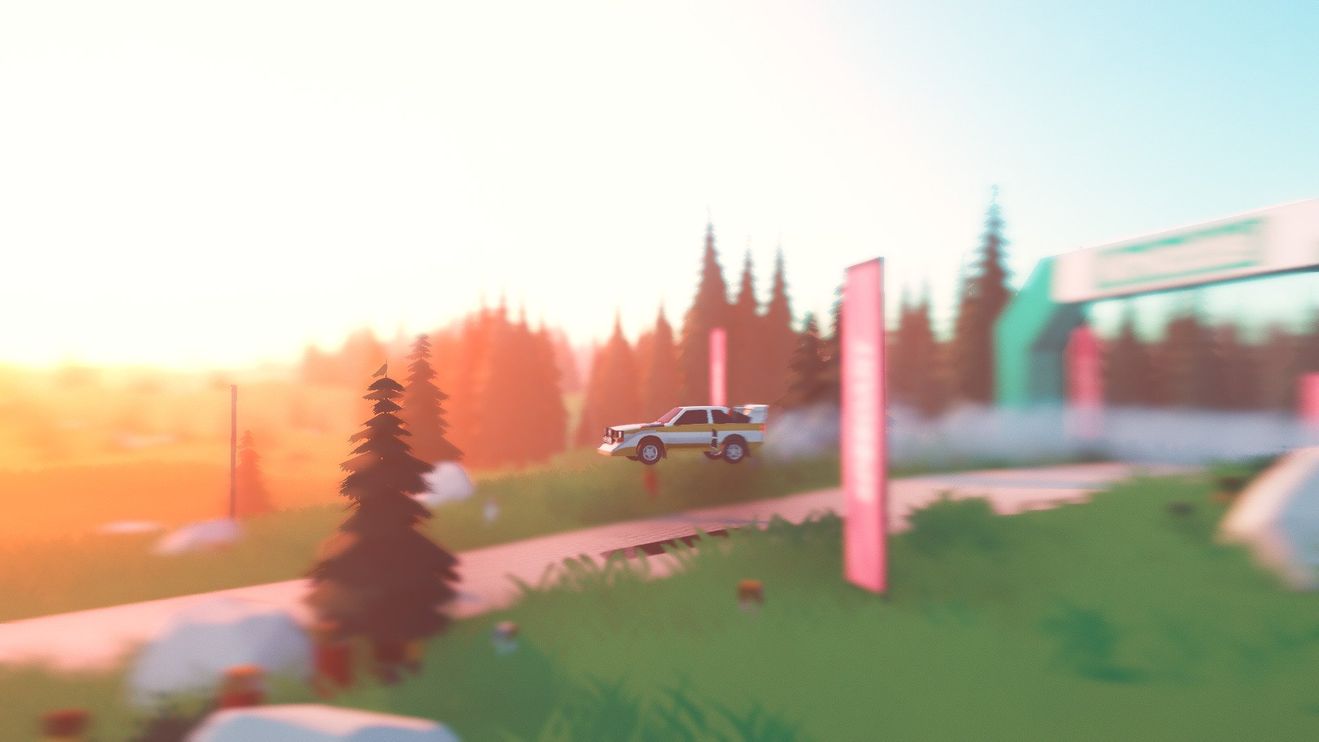 拉力赛艺术/art of rally_1
