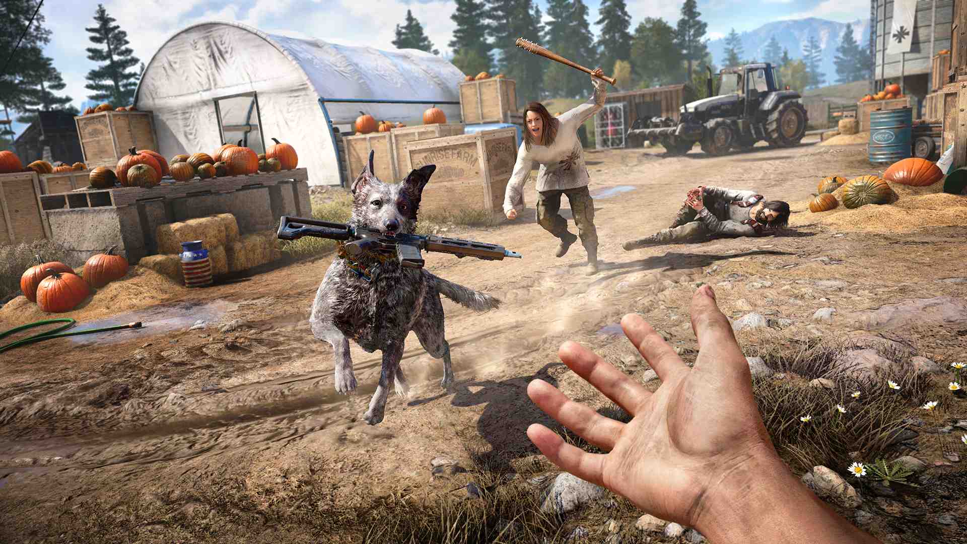 孤岛惊魂5/Far Cry 5_3