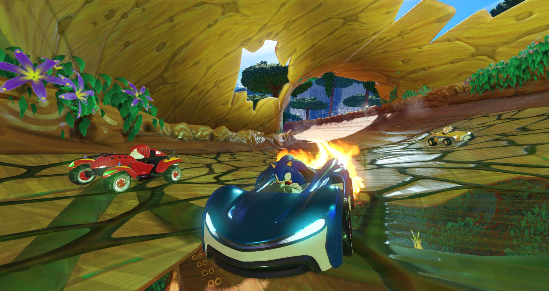 团队索尼克赛车/索尼克团队赛车/Team Sonic Racing_2