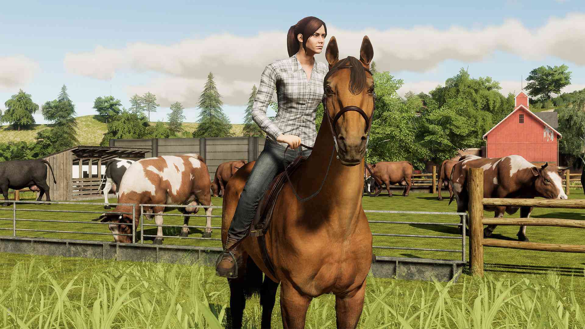 模拟农场19/Farming Simulator 19/支持网络联机_2