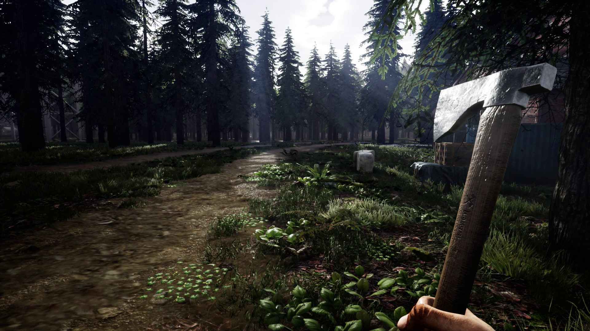 迷雾求生/Mist Survival_3