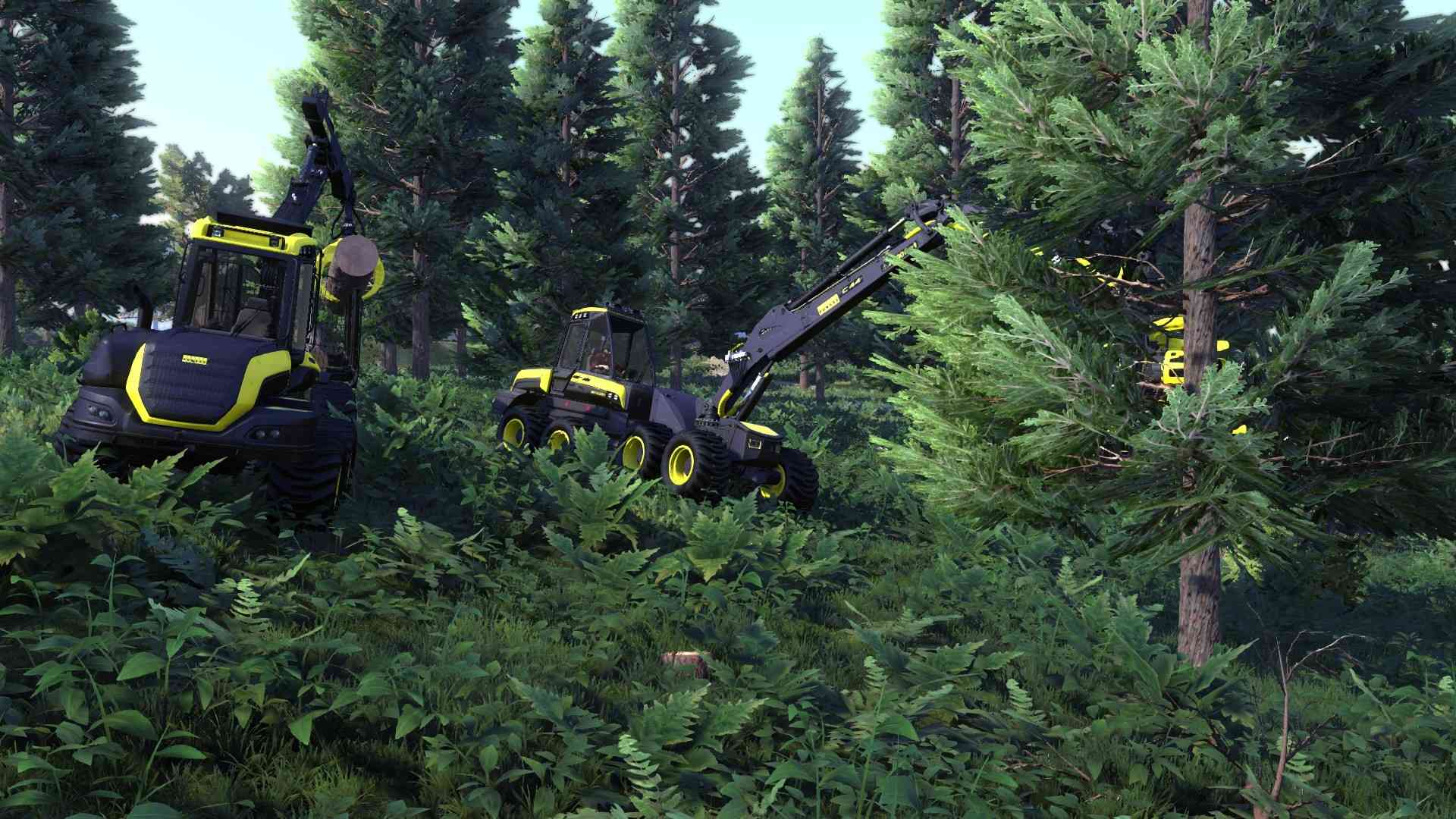 伐木工王朝/Lumberjack's Dynasty_2